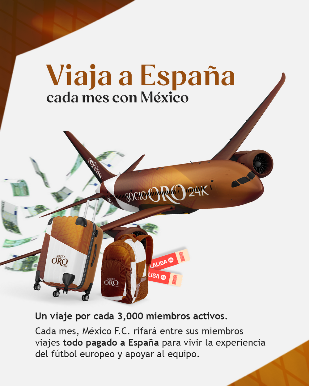 Membresía Socio ORO 24k - México F.C.